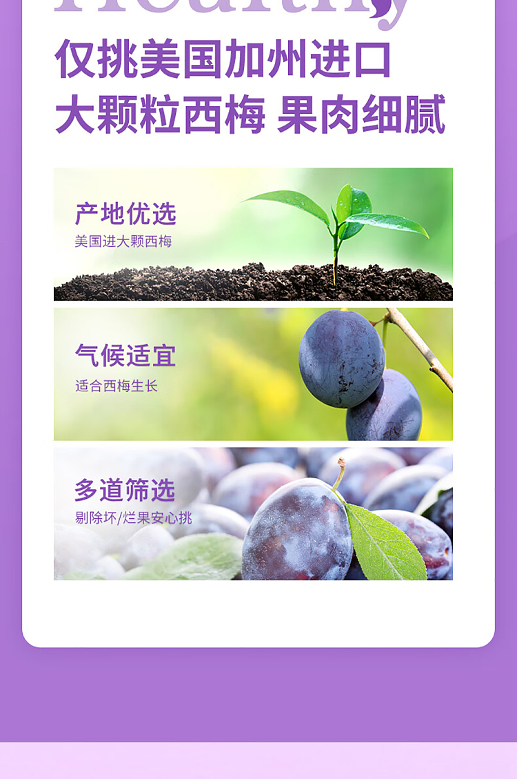 liangpinpuzi-california-prunes-70g-4