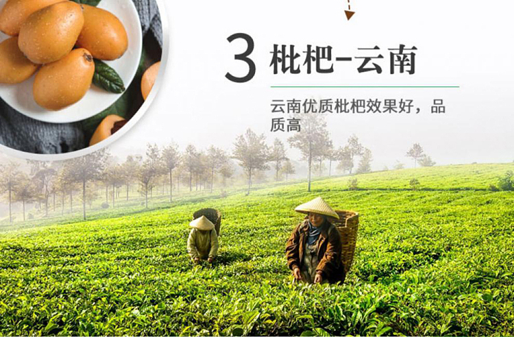 guangci-lo-han-guo-loquat-lozenges-40g-14