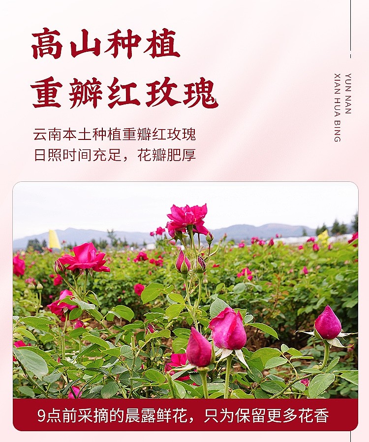 ya-miao-flower-cake-original-flavor-rose-8-pieces-into-200g-5