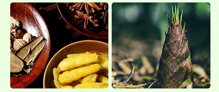 youyou-bamboo-shoot-tips-mountain-pepper-flavor-100g-2