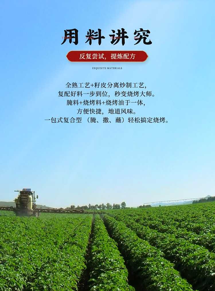 cuihong-bbq-seasoning-259g-8
