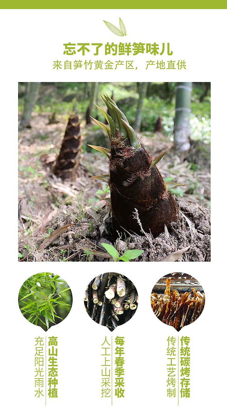 ming-yin-boiled-bamboo-shoots-400g-2