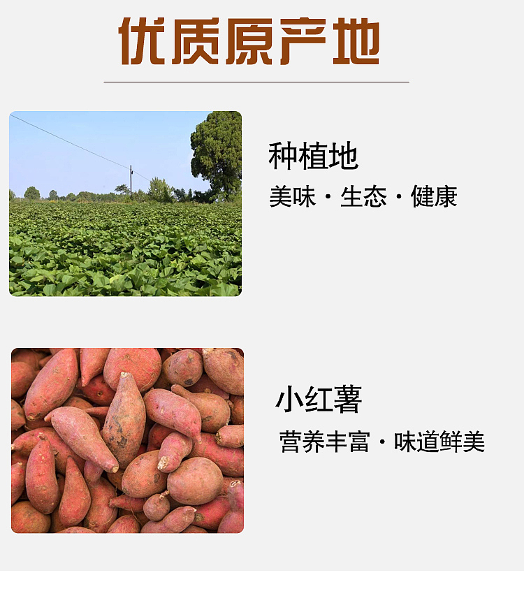 golden-earth-small-sweet-potato-with-skin-400g-9