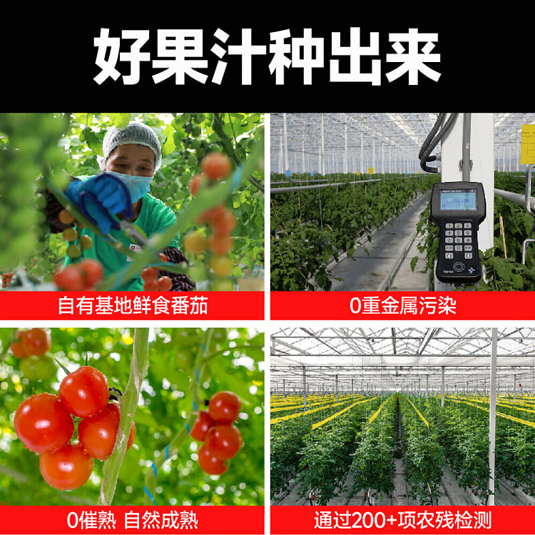 one-big-tomato-ume-lohas-drink-450ml15-bottles-3