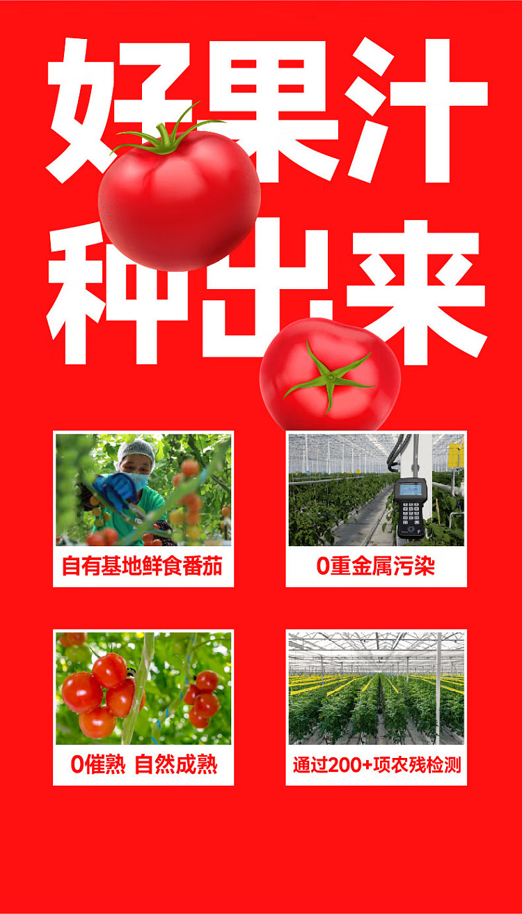 one-big-high-fiber-tomato-water-450ml15-bottles-2