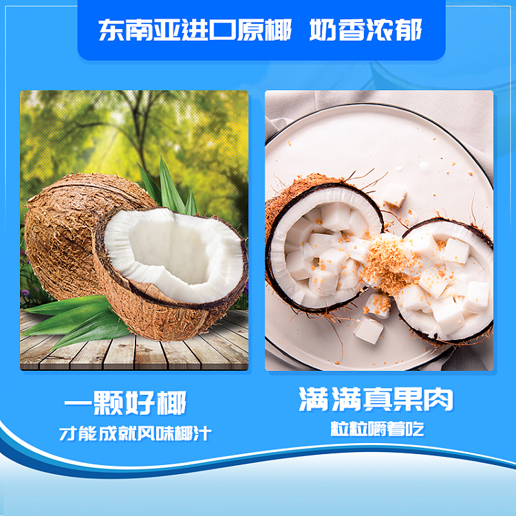 coconut-thai-freshly-squeezed-coconut-juice-with-pulp-420ml-3