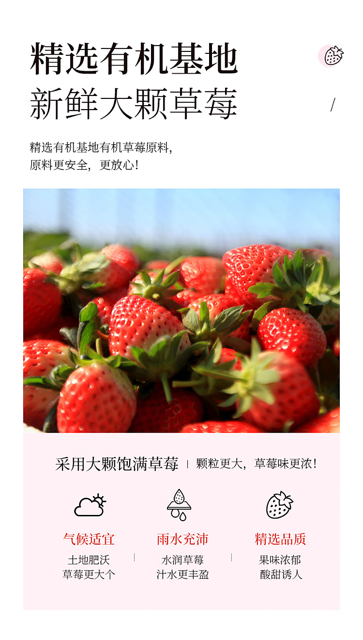 sams-exclusive-botherless-organic-freeze-dried-strawberries-180g-2