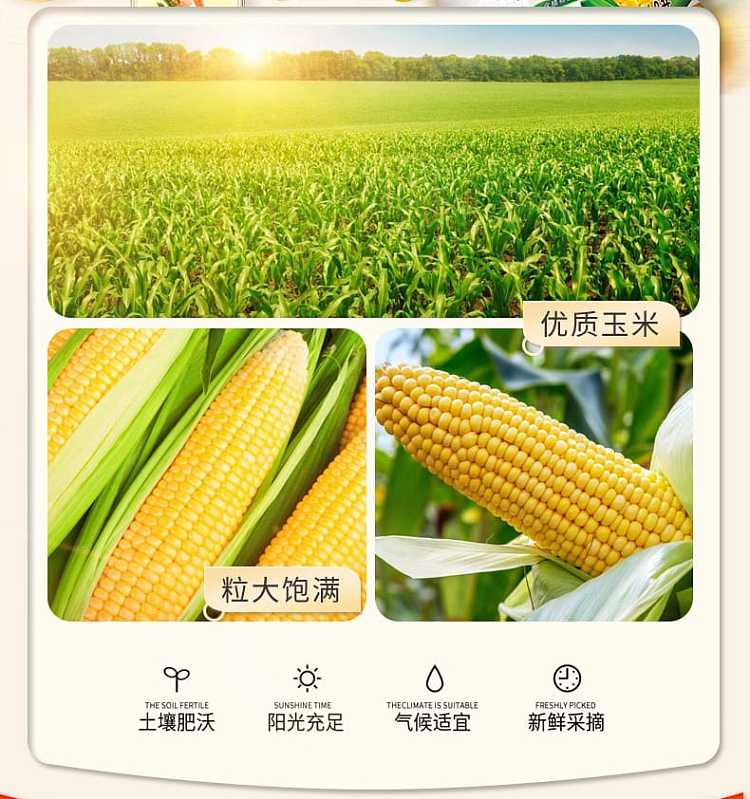 golden-dragonfish-corn-oil-18l-5