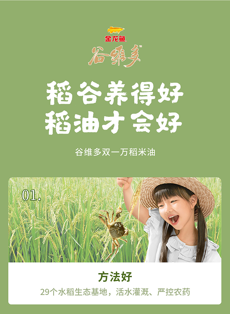 golden-dragonfish-rice-oil-18l-19