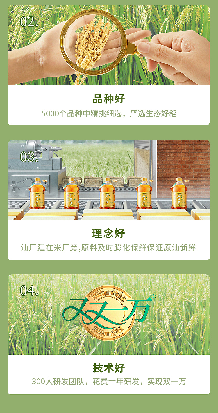 golden-dragonfish-rice-oil-18l-20