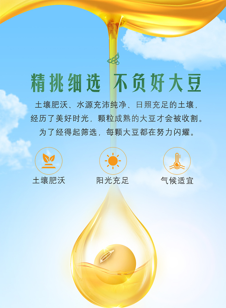 golden-dragon-fish-refined-grade-1-soybean-oil-non-gmo-5l-8