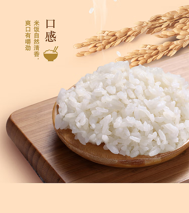 golden-dragon-fish-cold-northeast-rice-5kg-13