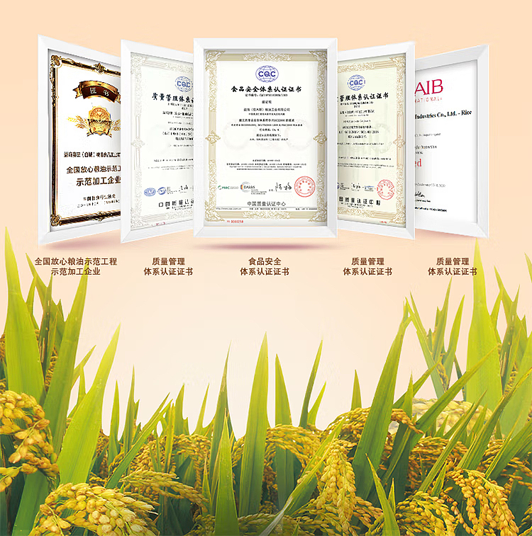 golden-dragon-fish-cold-northeast-rice-5kg-24