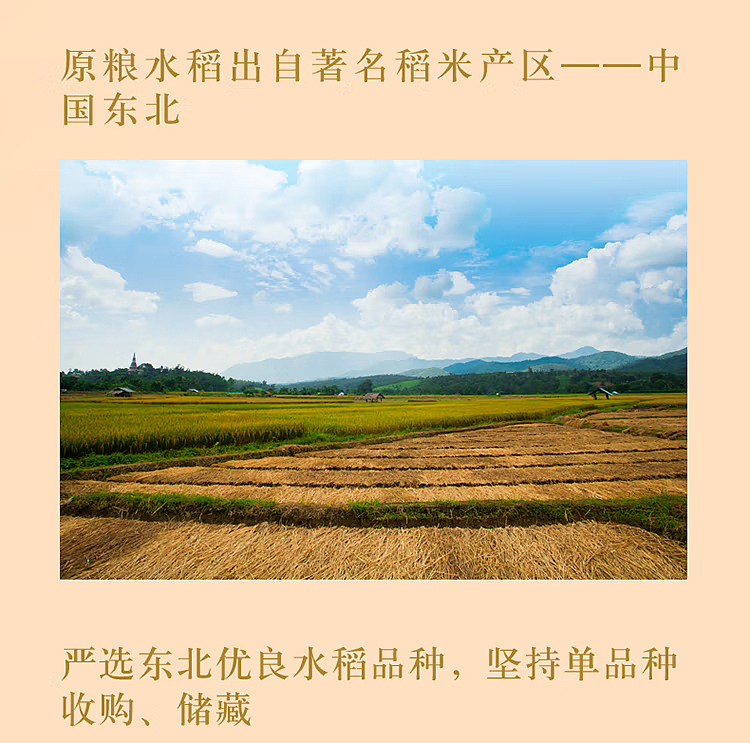 golden-dragon-fish-cold-northeast-rice-5kg-6
