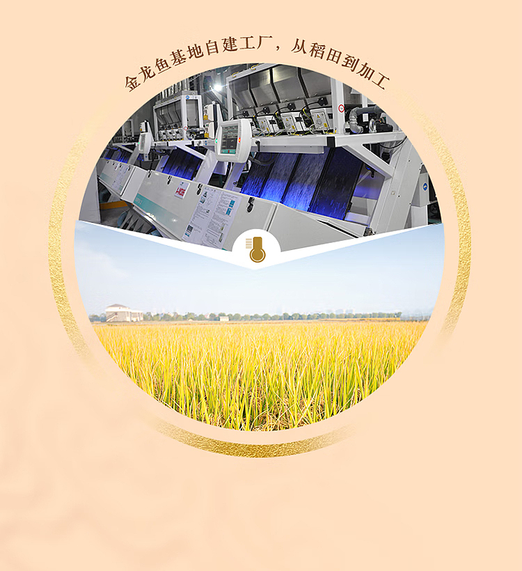 golden-dragon-fish-cold-northeast-rice-5kg-9