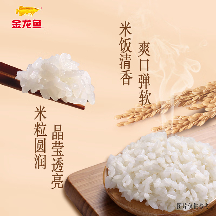 golden-dragon-fish-cold-northeast-rice-5kg-3