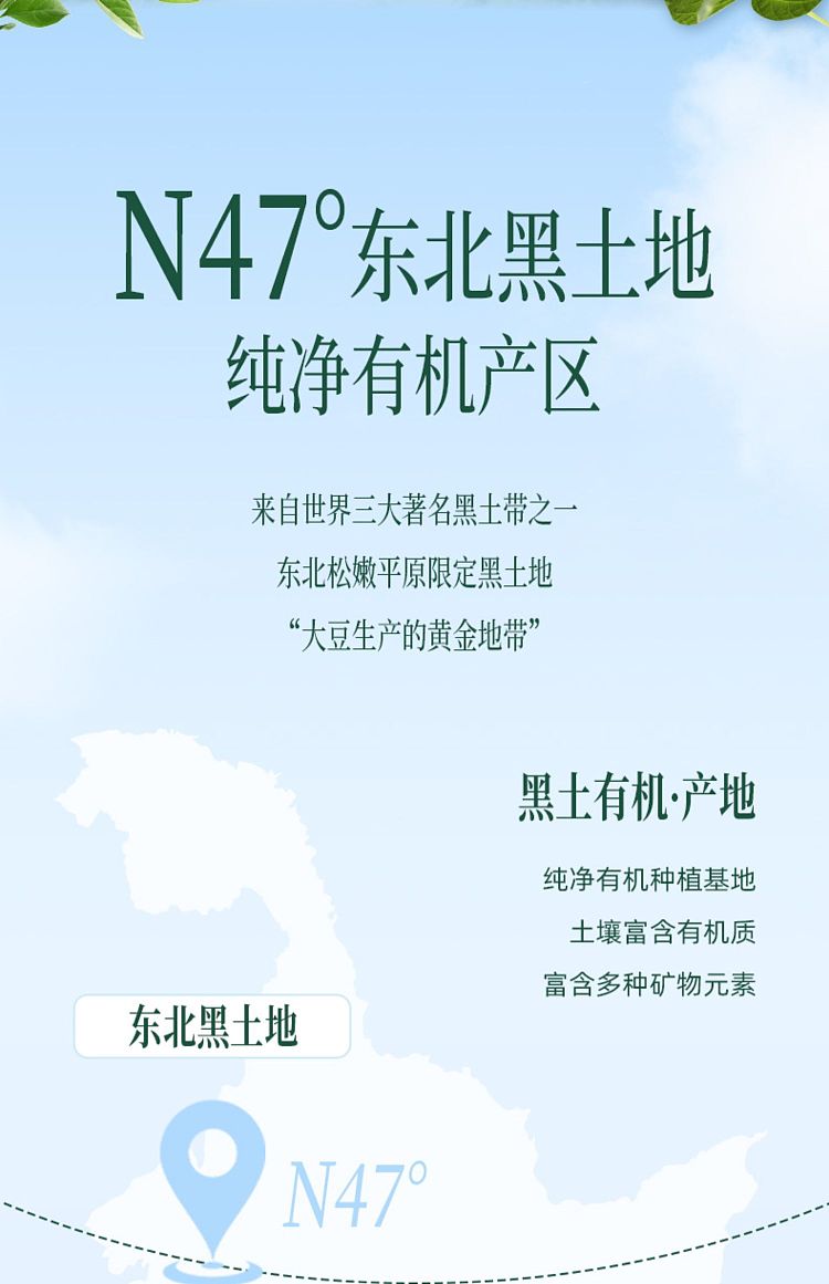jiuyang-pure-soymilk-powder-200g-3