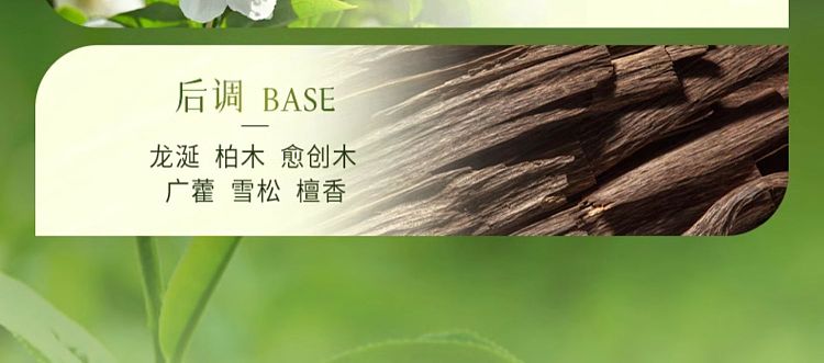 shiseido-koyo-beauty-body-wash-wabi-tea-garden-550ml-4