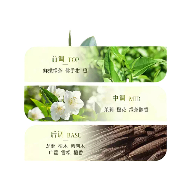 shiseido-koyo-beauty-body-wash-wabi-tea-garden-550ml-3