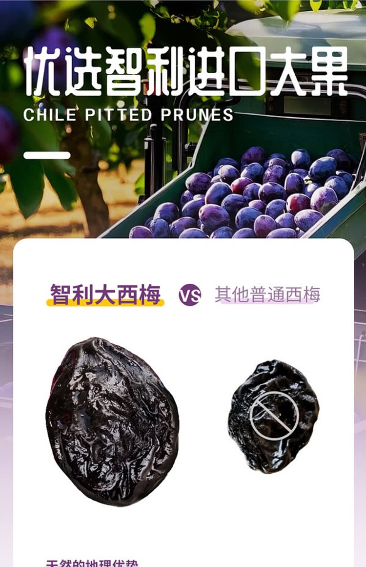 slippery-plum-chilean-dried-prunes-800g-sams-buy-11