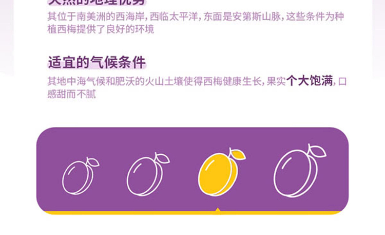 slippery-plum-chilean-dried-prunes-800g-sams-buy-12