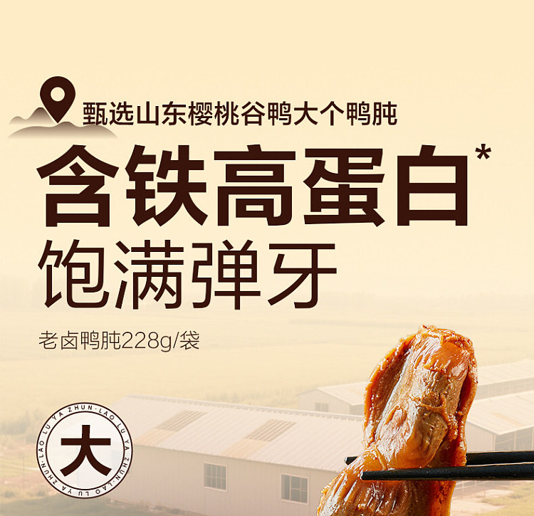 liangpinpuzi-five-spice-duck-gizzards-228g-2