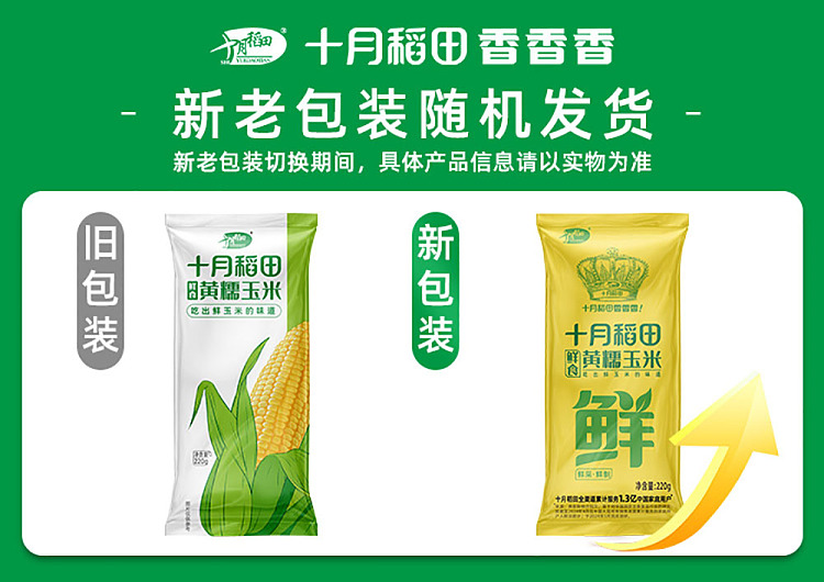 october-paddy-yellow-glutinous-corn-single-220g-1