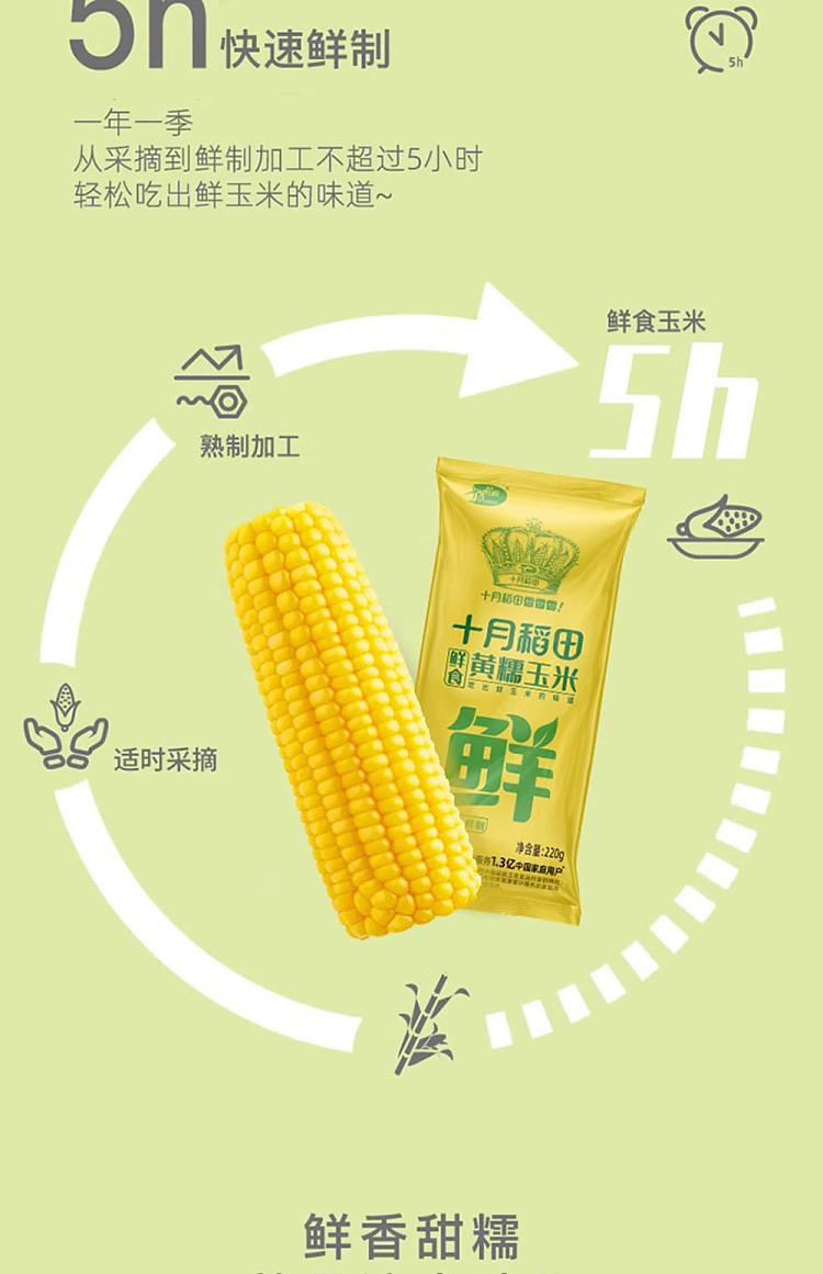 october-paddy-yellow-glutinous-corn-single-220g-6