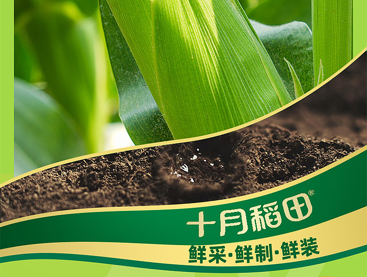 october-paddy-flower-sticky-corn-22kg-5