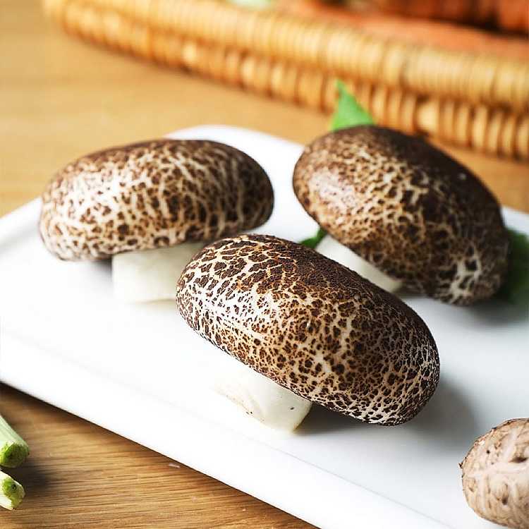 frozenbeiji-oatmeal-mushroom-buns-10pcs-into-400g-3