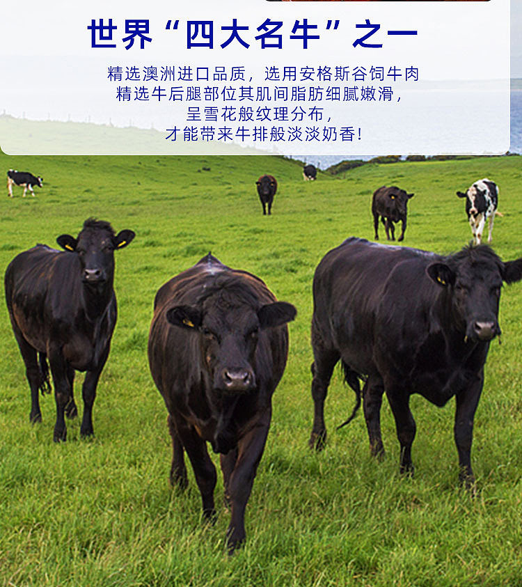 san-guan-six-docks-angus-beef-crisp-original-100g-3