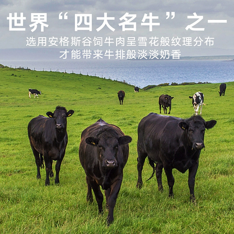 san-guan-six-docks-angus-beef-crisp-original-100g-2