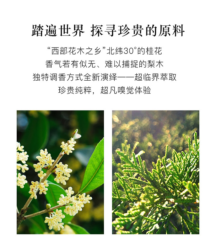 ice-hilary-salon-fragrance-collection-pearwood-osmanthus-perfume-60ml-2
