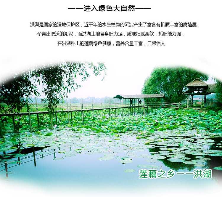 honghu-lotus-root-slices-420g-3