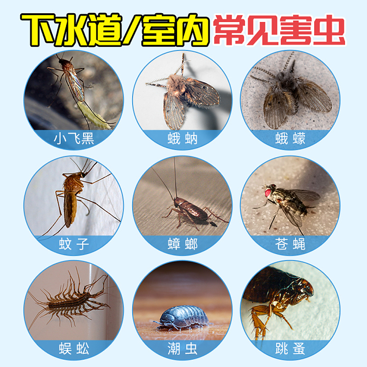 old-steward-sewer-bug-killer-1000ml-5