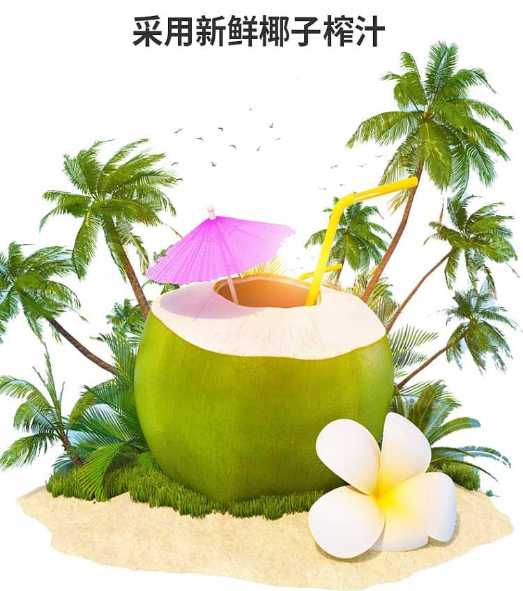 case-coconut-palm-coconut-juice-245ml24-canscase-3