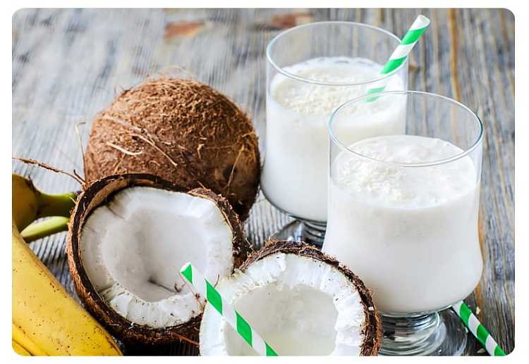 case-coconut-palm-coconut-juice-245ml24-canscase-9