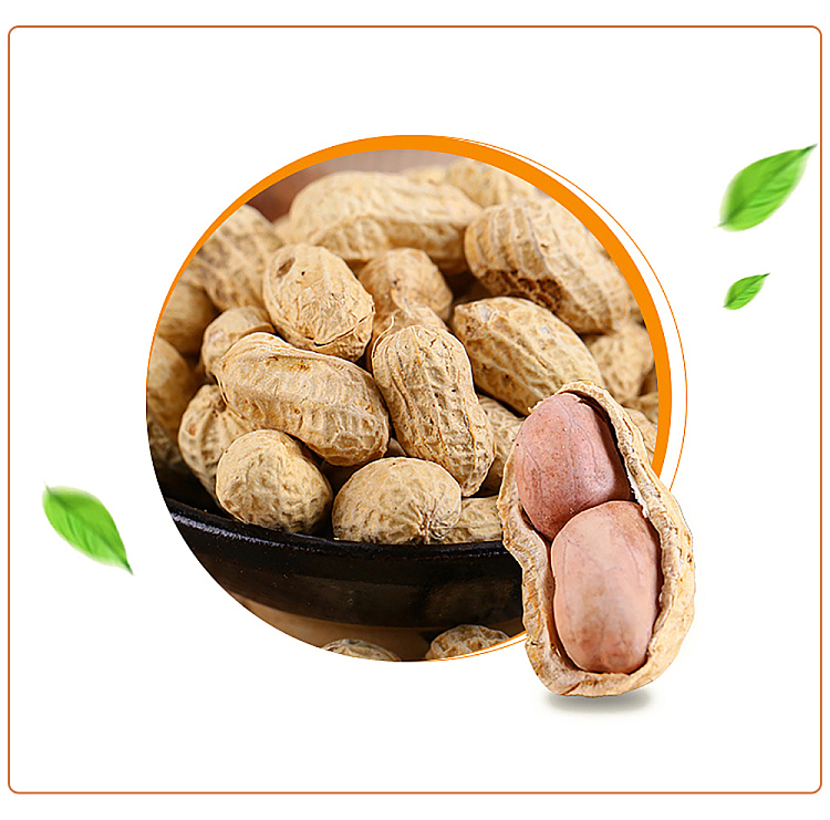 hongfeng-bright-salted-and-dried-peanuts-chen-pi-flavor-350g-4
