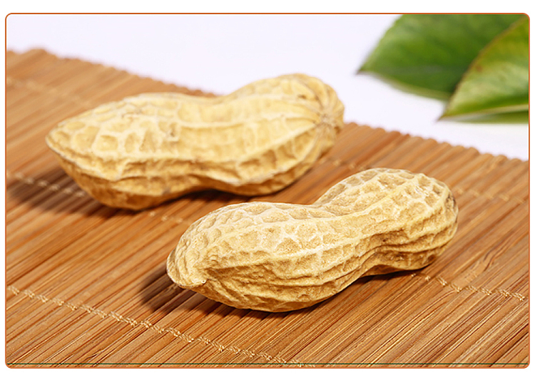 hongfeng-bright-salted-and-dried-peanuts-chen-pi-flavor-350g-5