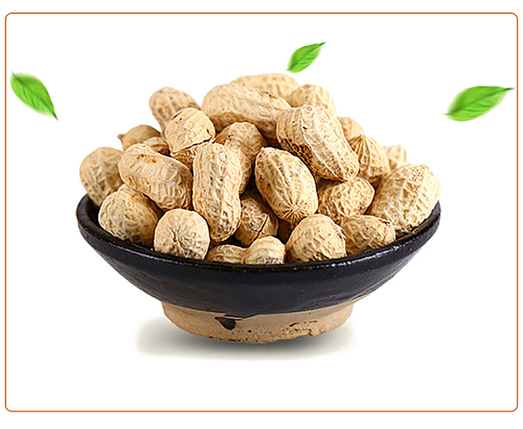 hongfeng-bright-salted-and-dried-peanuts-chen-pi-flavor-350g-7