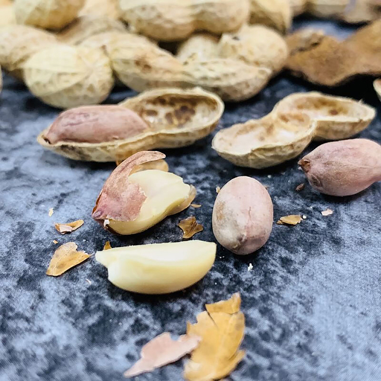 hongfeng-bright-salted-and-dried-peanuts-chen-pi-flavor-350g-4