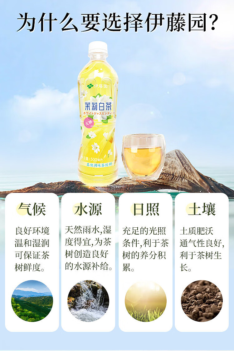 ito-en-jasmine-white-tea-500ml15-3