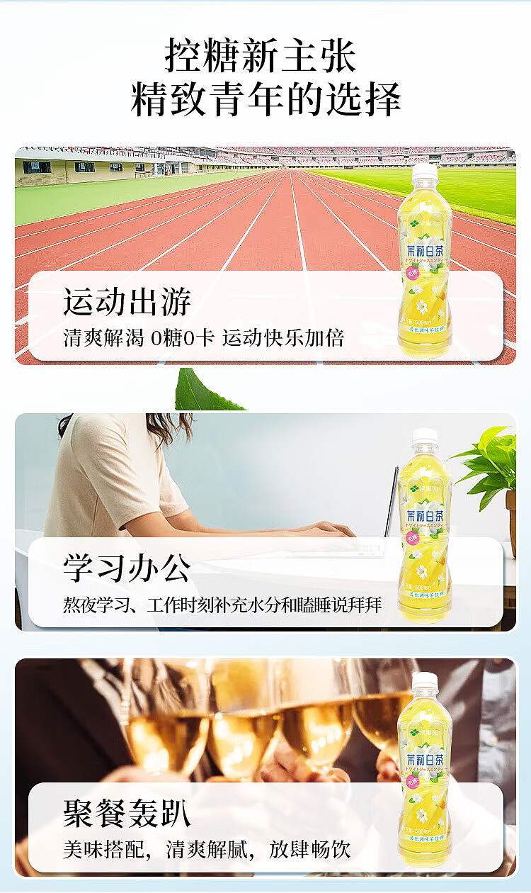 ito-en-jasmine-white-tea-500ml15-6