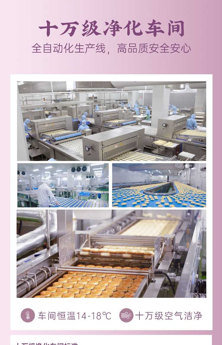 frozenokun-blueberry-filled-doughnuts-15-pieces-into-750g-6