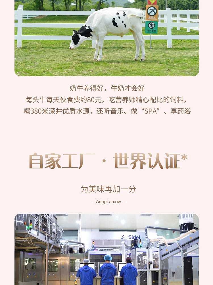 adopt-a-cow-french-style-white-peach-oat-yogurt-230g-discontinued-9