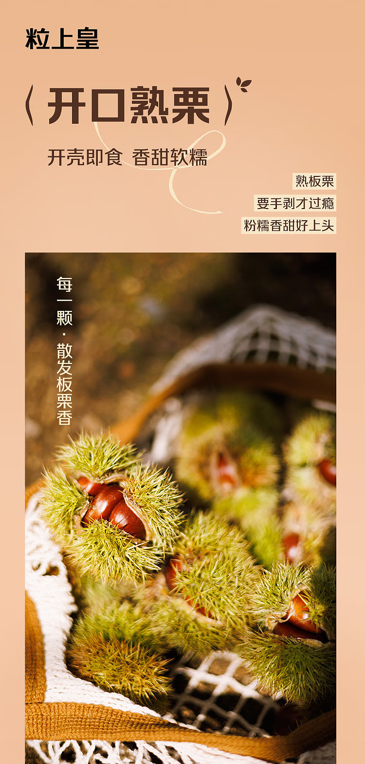 chestnut-120g-2