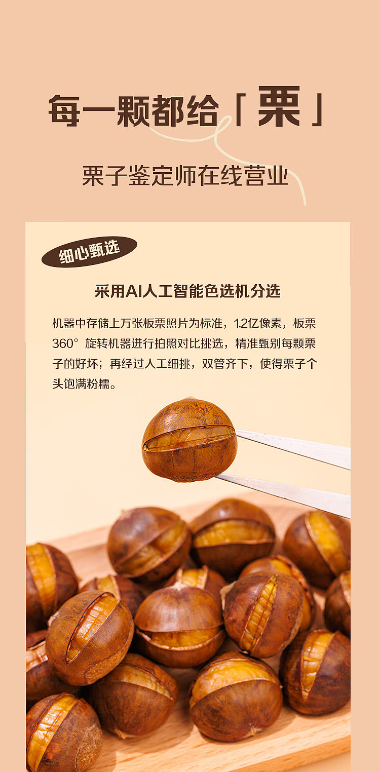 chestnut-120g-7