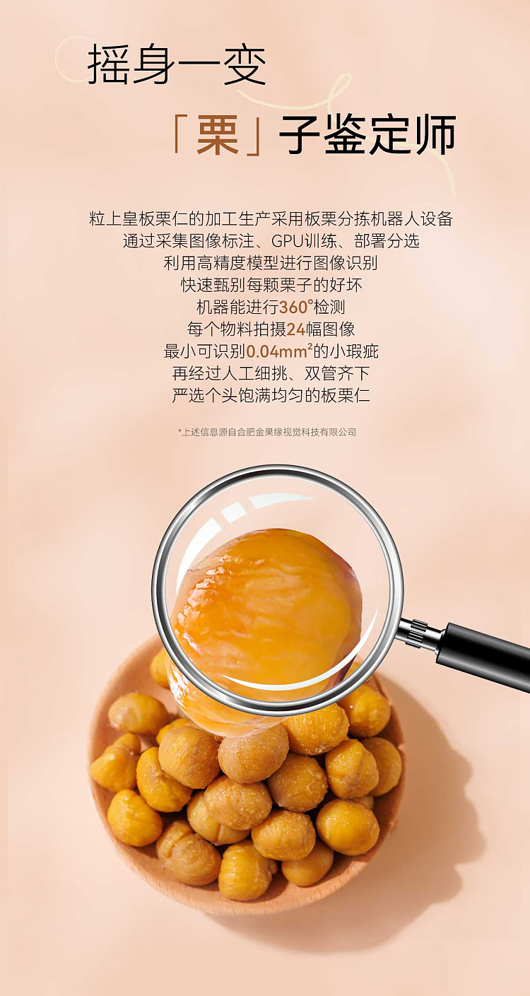 chestnut-kernel-50g-7