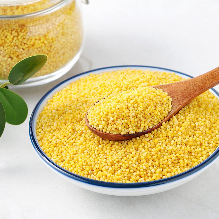 october-paddy-shanxi-yellow-millet-500g-5