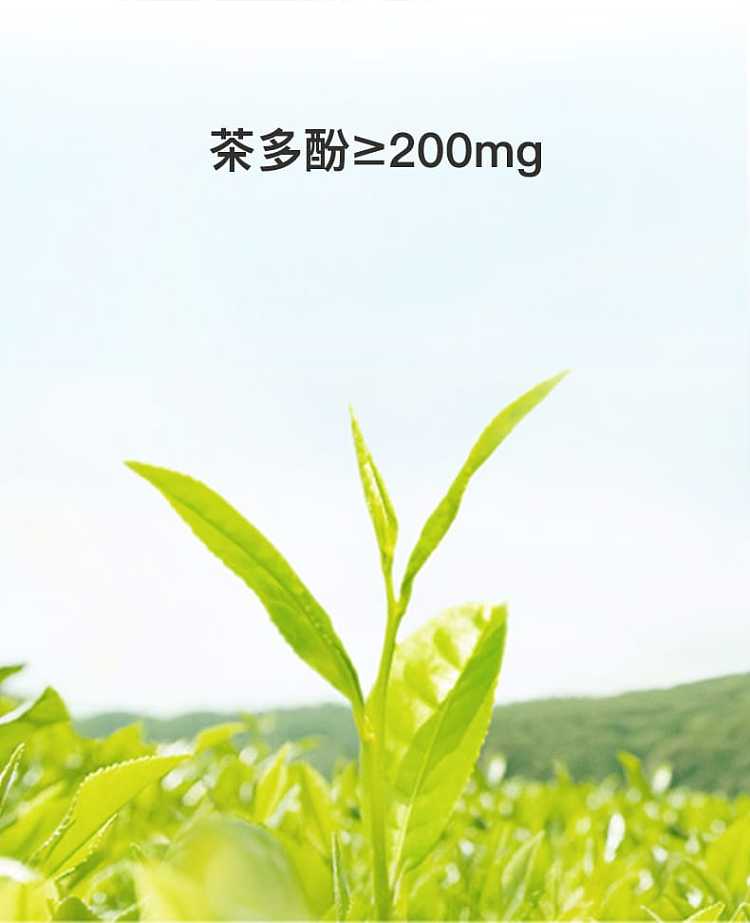 full-cartonenergy-forest-burning-tea-peach-sugar-free-oolong-500ml15-bottles-carton-4